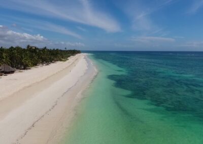 An aerial view of a pristine white sand beach with turquoise water and palm trees.